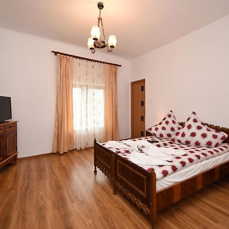 Hotel Casa Para Haţeg Esterno foto